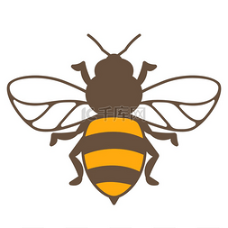 蜜蜂插图商业食品和农业的形象蜜