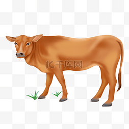 生态农业logo图片_农业牲畜养殖黄牛