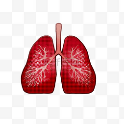 人体组织器官肺部医疗医学健康