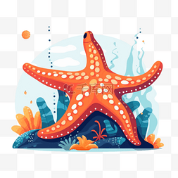 卡通手绘海洋动物图片_卡通手绘海洋动物海星