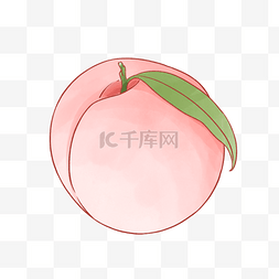 桃子水蜜桃图片_水彩水果桃子