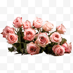 高清免扣花卉摄影粉玫瑰设计素材