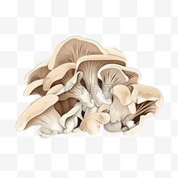 卡通手绘蔬菜蘑菇