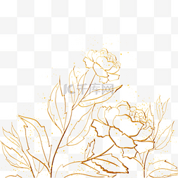 线条植物边框图片_金色牡丹植物花卉线稿边框
