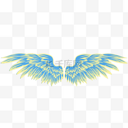 蓝黄色线条羽毛翅膀