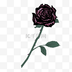 玫瑰花黑玫瑰图片_玫瑰花叶子黑色风格