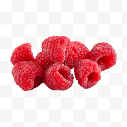 树莓植物摄影图水果