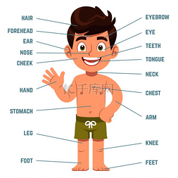 儿童英语图图片_儿童身体部位。