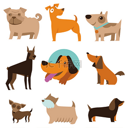棕色的动物图片_一组有趣的卡通狗