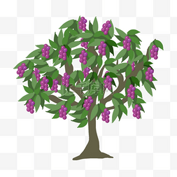 葡萄果实图片_紫色葡萄卡通水果树