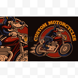 摩托车上狼的一种五颜六色的自行
