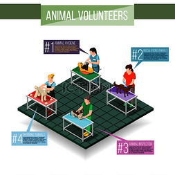 猫狗信息图表图片_女性志愿者和动物在接种、美容、