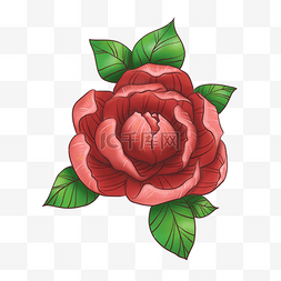 红色半厚画玫瑰纹身