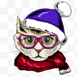 帽子围巾眼镜可爱猫咪肖像