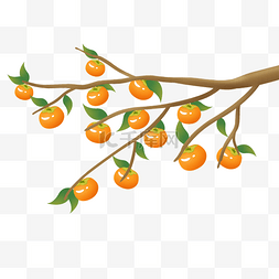 橘色秋天图片_秋天秋季柿子树