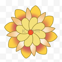 玉英黄色花朵对称图片