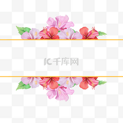 粉色花朵纹理图片_水彩木槿花创意边框