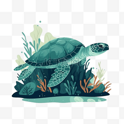 卡通手绘海洋动物大海龟