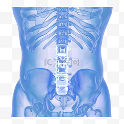 骨骼结构图片_创意医疗腰椎
