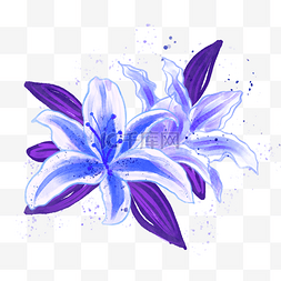 水彩花卉蓝色百合花植物叶子自然