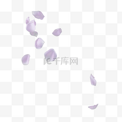 美丽鲜花花瓣