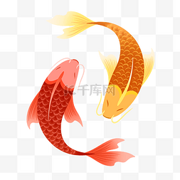 新年春节锦鲤好运年年有余动物鱼