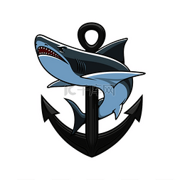 鲨鱼和锚纹章徽章矢量航海图标海