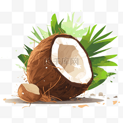 扁平插画手绘免抠元素椰子