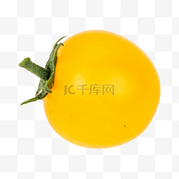 黄色西红柿图片_黄色水果西红柿