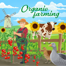 农业卡通农业图片_有机农业食品媒介农业蔬菜和动物
