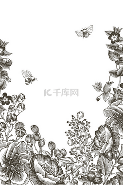 手绘植物插图图片_野花花分枝背景。复古植物手绘插
