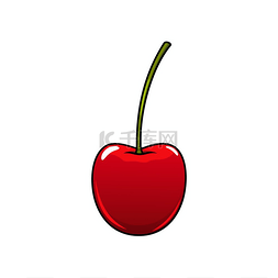 红色水果樱桃矢量图片_樱桃果实孤立的花园收获浆果矢量