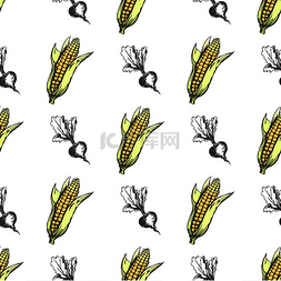 食物纹理背景图片_玉米芯和单色甜甜菜孤立的矢量图
