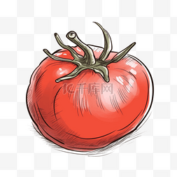 手绘风格蔬菜插画图片_西红柿番茄卡通风格蔬菜图案