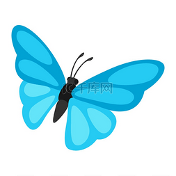 颜色鲜艳的图形图片_装饰蝴蝶的插图色彩鲜艳抽象昆虫