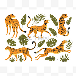 猎豹卡通图片_猎豹、猎豹和热带树叶的病媒群。
