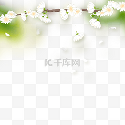 白色的光影图片_树枝上的白色花瓣春天光效花卉边