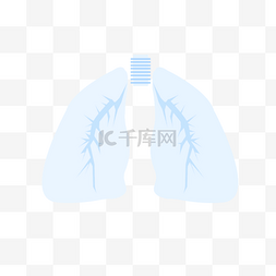 之一图片_人体五脏之一器官肺部