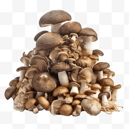手绘菌菇图片_卡通手绘蔬菜蘑菇菌菇