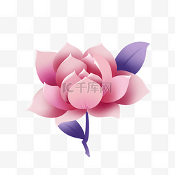 春季女王图片_春天春季三八妇女节粉色植物花朵