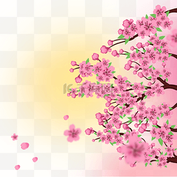 春天桃花朵朵开光效阳光