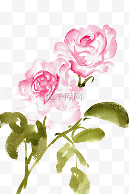 水墨画玫瑰图片_美丽的玫瑰花