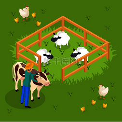 农场牛图片_普通农民生活等距背景与牛和农场