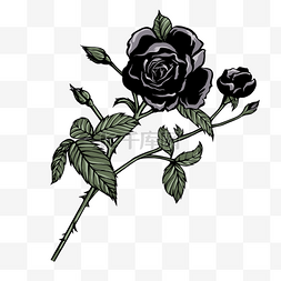 玫瑰花黑色的带叶子