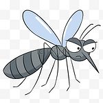 夏季昆虫蚊子