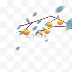 秋季植物食物柿子