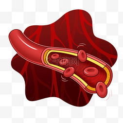 人体红色血管图片_血管和细胞插画风格红色