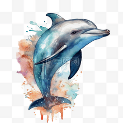 手绘水彩动物海豚