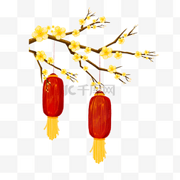 黄色花瓣梅花树上的红灯笼