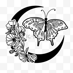 一只正面蝴蝶花卉月亮的剪影